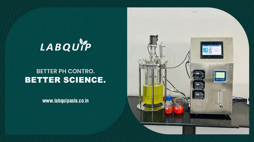 Bioreactor | fermenter